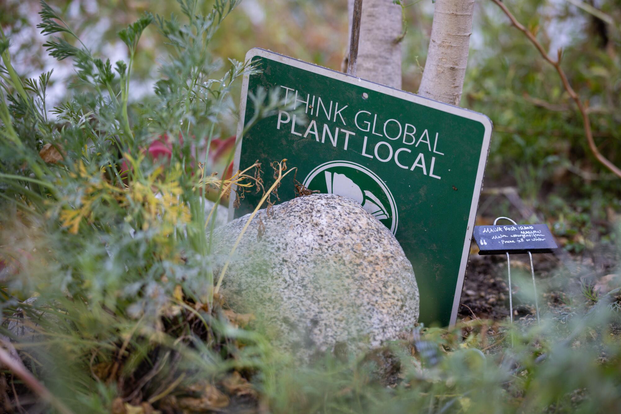 A "Think Global Plant Local" sign in Julia Lee's garden.