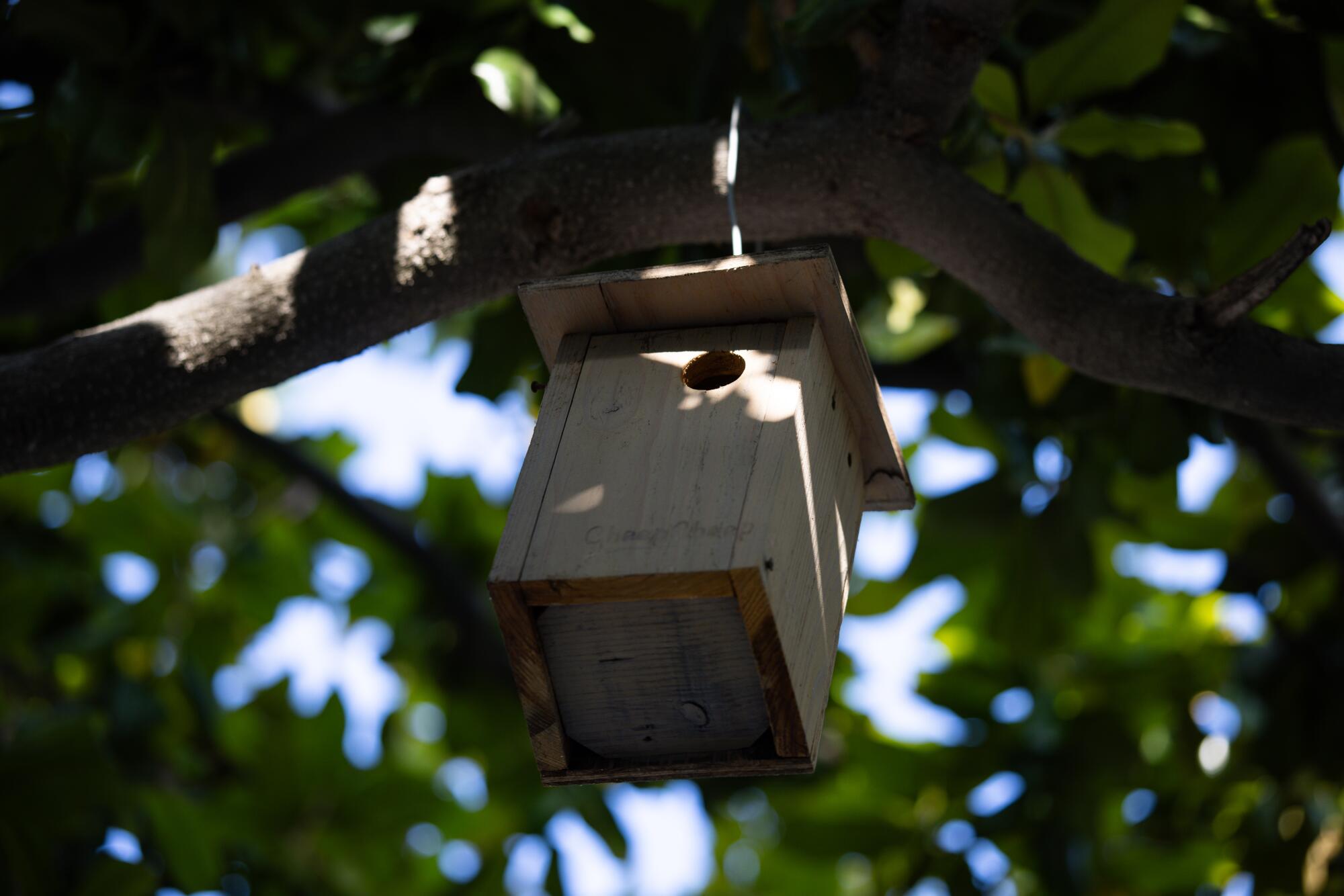 A bluebird box hangs from a tree in Julia Lee's garden.