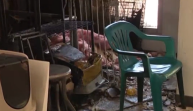 Arrest made after arson attack at Berkeley animal shelter