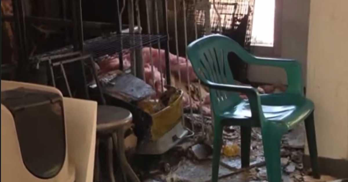 Arrest made after arson attack at Berkeley animal shelter
