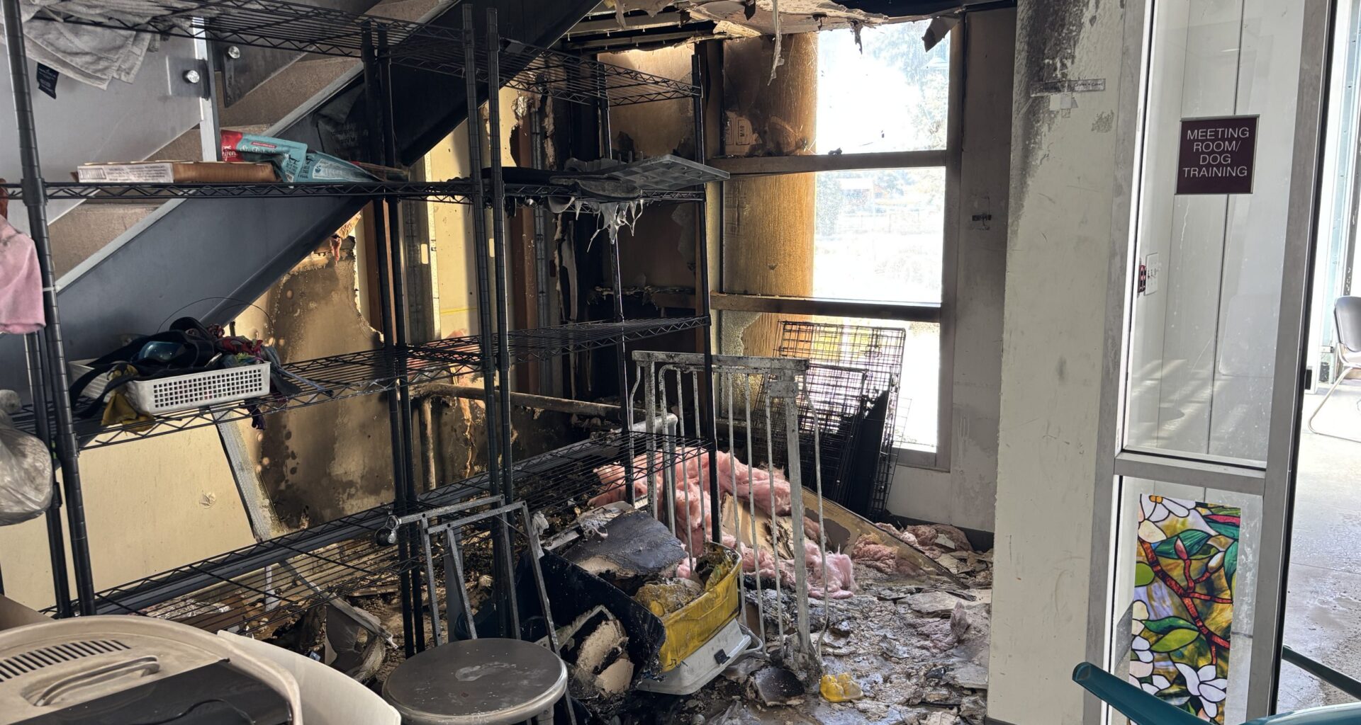Berkeley animal shelter arson suspect arrested