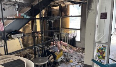 Berkeley animal shelter arson suspect arrested