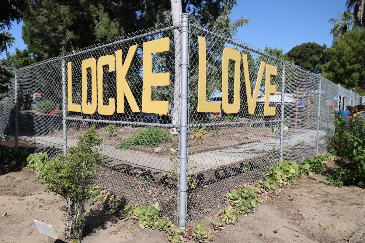 Yellow letters on wire fencing spell out Locke Love 