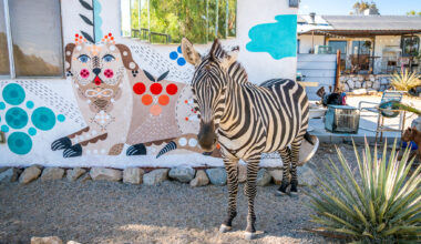 See a zebra at the door at this wild California desert escape
