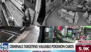 Accused Pokemon card bandits busted in California as thefts surge