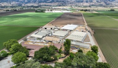 California, Santa Clara County sue to block ICE detention facility near Gilroy – Monterey Herald