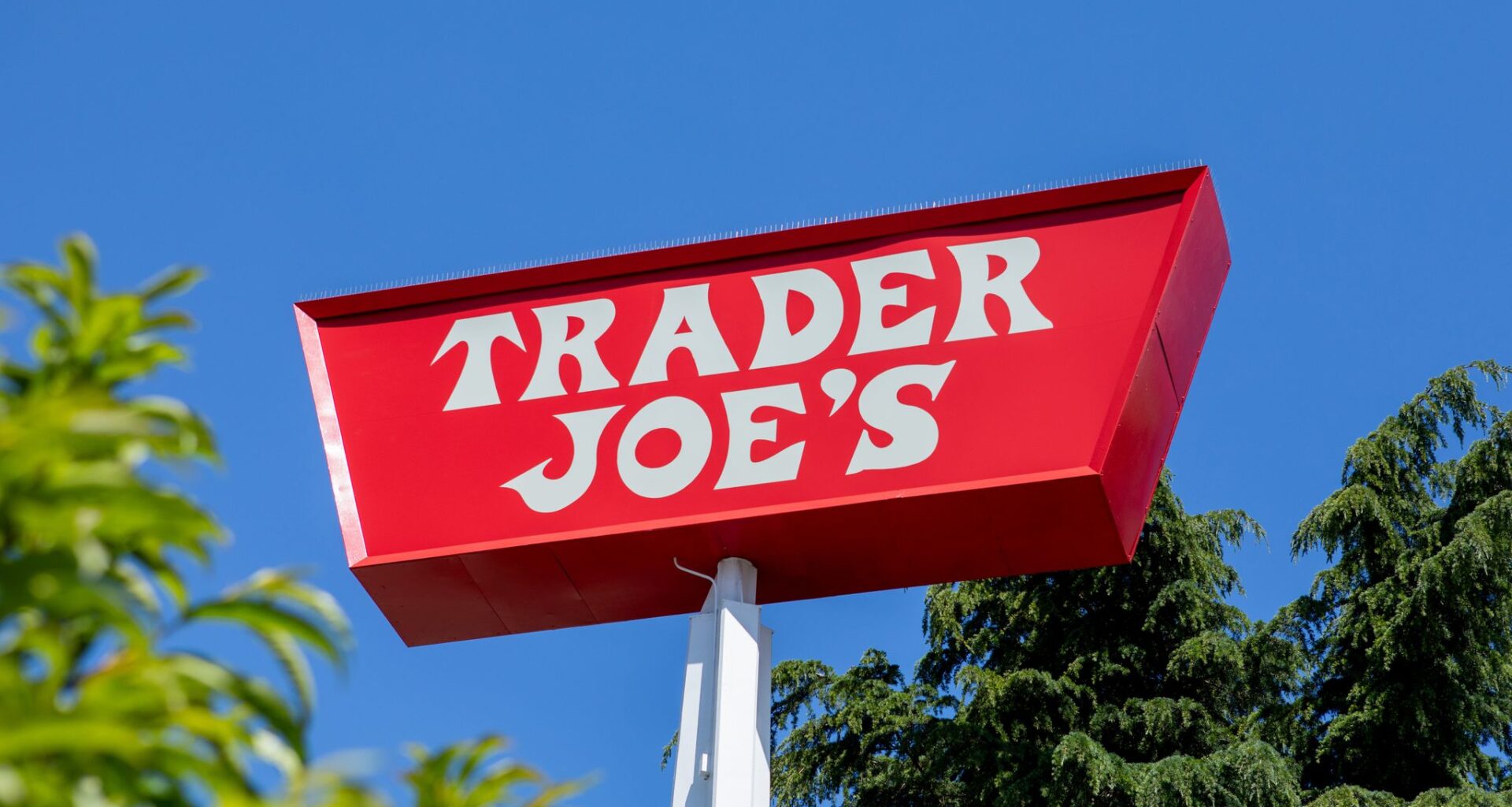 SF Trader Joe’s theft suspect killed by car after chase an ex-employee