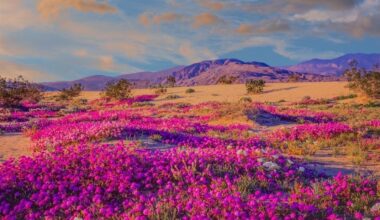 12 California State Parks Worth Planning A Trip Around