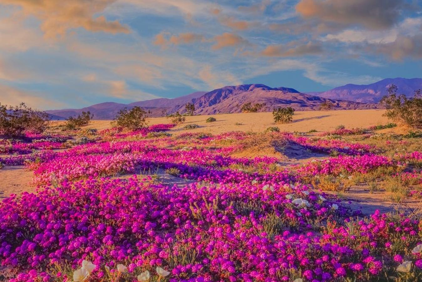 12 California State Parks Worth Planning A Trip Around