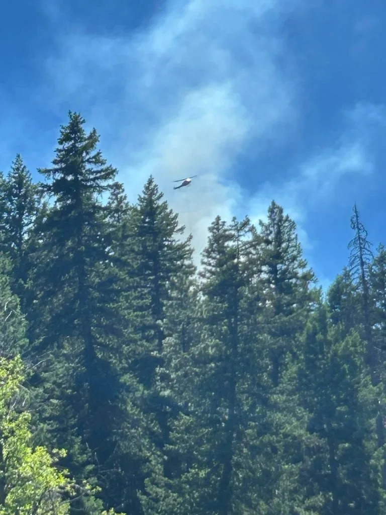 The incident, which occurred within the Okanogan-Wenatchee National Forest, prompted road closures. Naches Fire Department