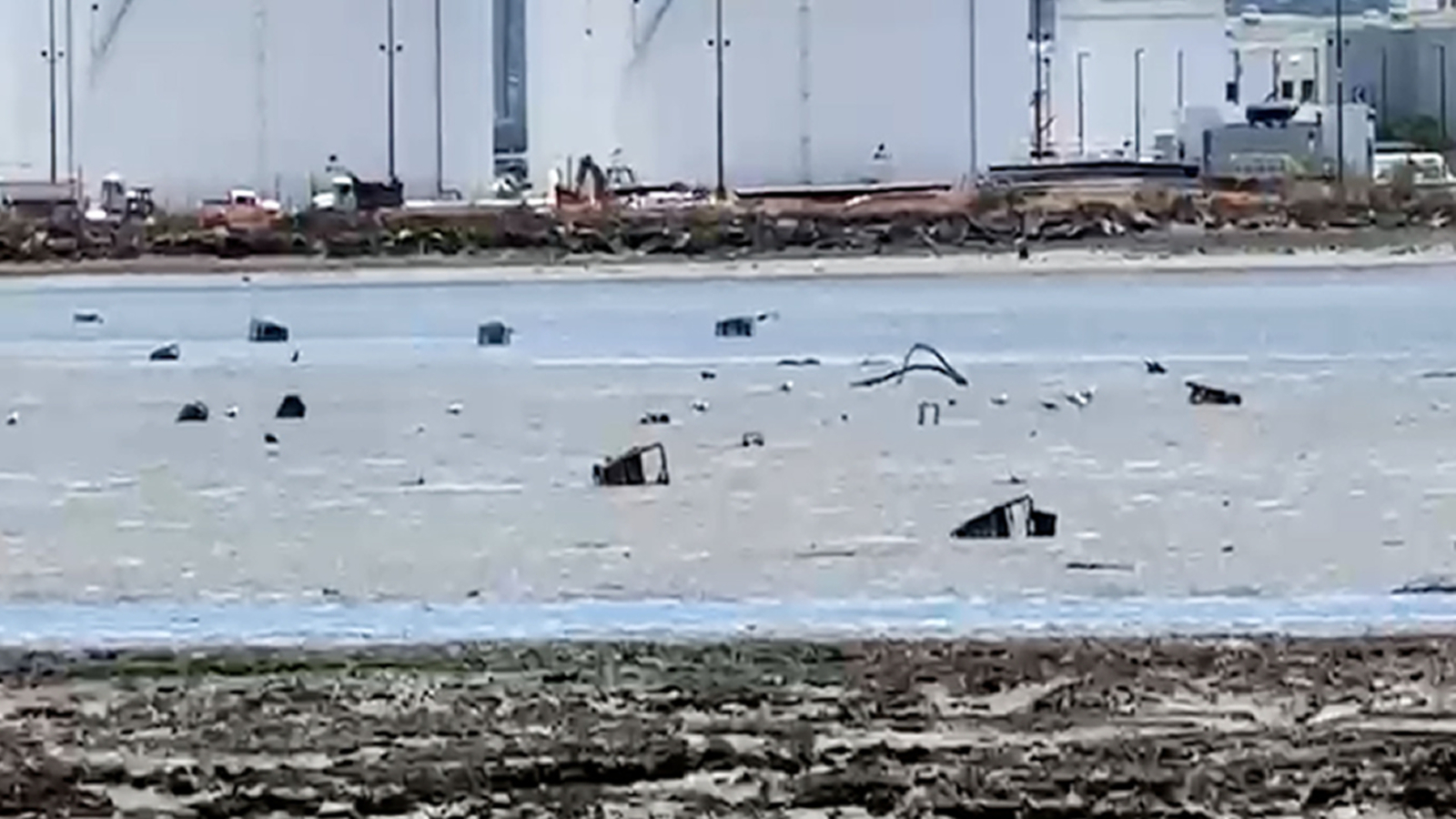 Dozens of apparent shopping carts littering San Francisco Bay along popular trail: so, how did they get there?