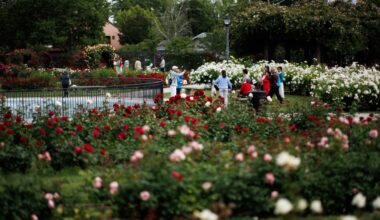 It’s a perfect weekend for al fresco entertainment in San Jose – East Bay Times