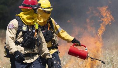 Metro Fire conducts 35-acre prescribed burn in Rio Linda