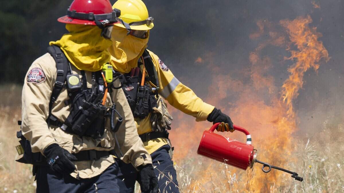 Metro Fire conducts 35-acre prescribed burn in Rio Linda