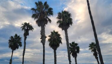 Report finds low water quality and bacteria spikes in Mission Bay