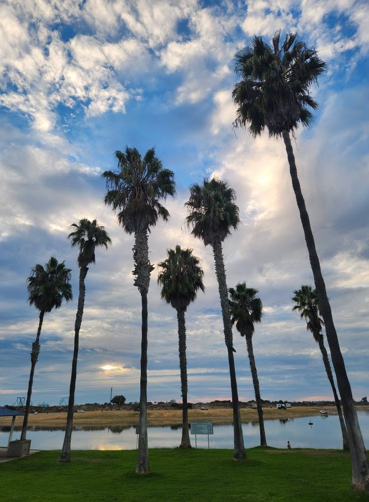 Report finds low water quality and bacteria spikes in Mission Bay