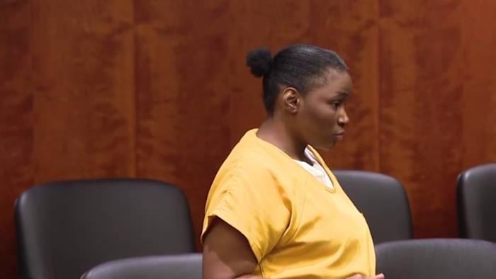Pontiac mother sentenced in welfare fraud case linked to child abandonment allegations