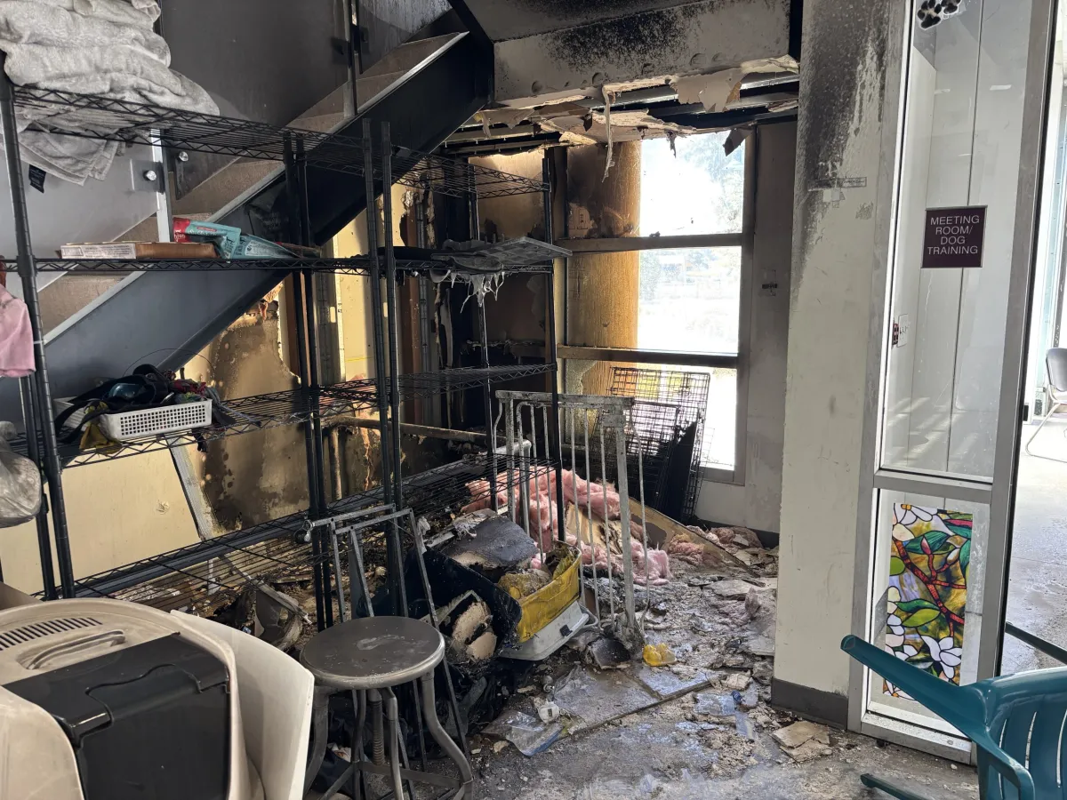Man suspected of torching Berkeley animal shelter arrested