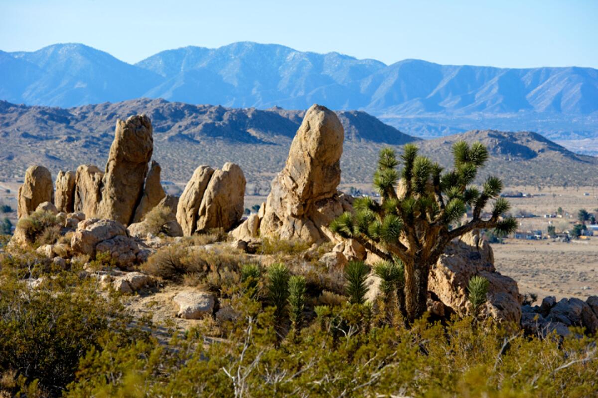 At the Antelope Valley Indian Museum State Historic Park in Lancaster, you'll find artifacts dating back 1,200 years.