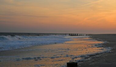 High fecal bacteria levels trigger swim advisories, closures at NJ beaches