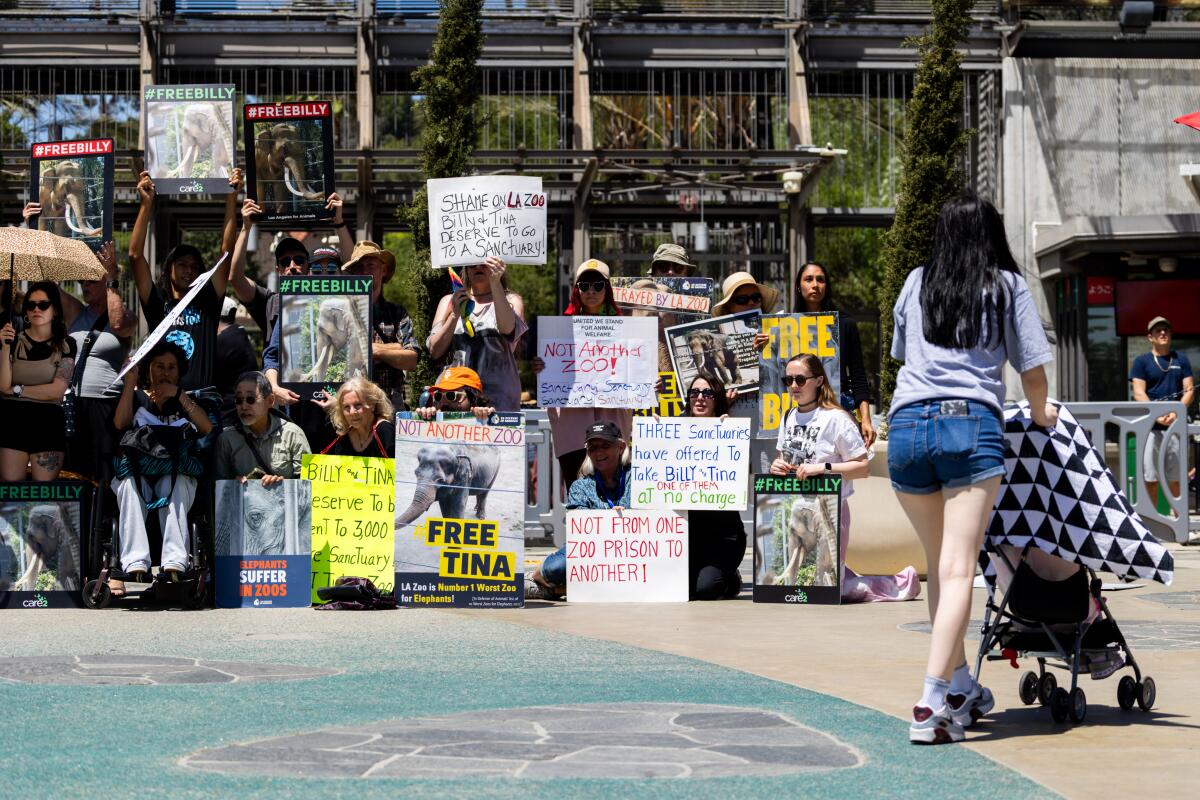 Outside the L.A. Zoo, a woman with a stroller passes by a protest by animal rights activists.