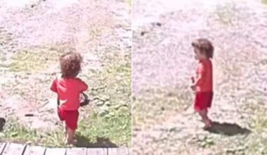 Holly police asking public for help identifying, locating wandering child