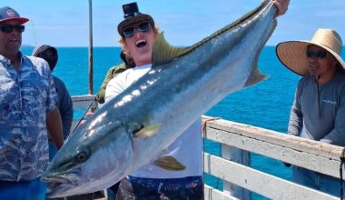 Fisherman lands massive yellowtail in rare San Diego pier catch