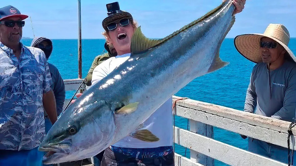 Fisherman lands massive yellowtail in rare San Diego pier catch