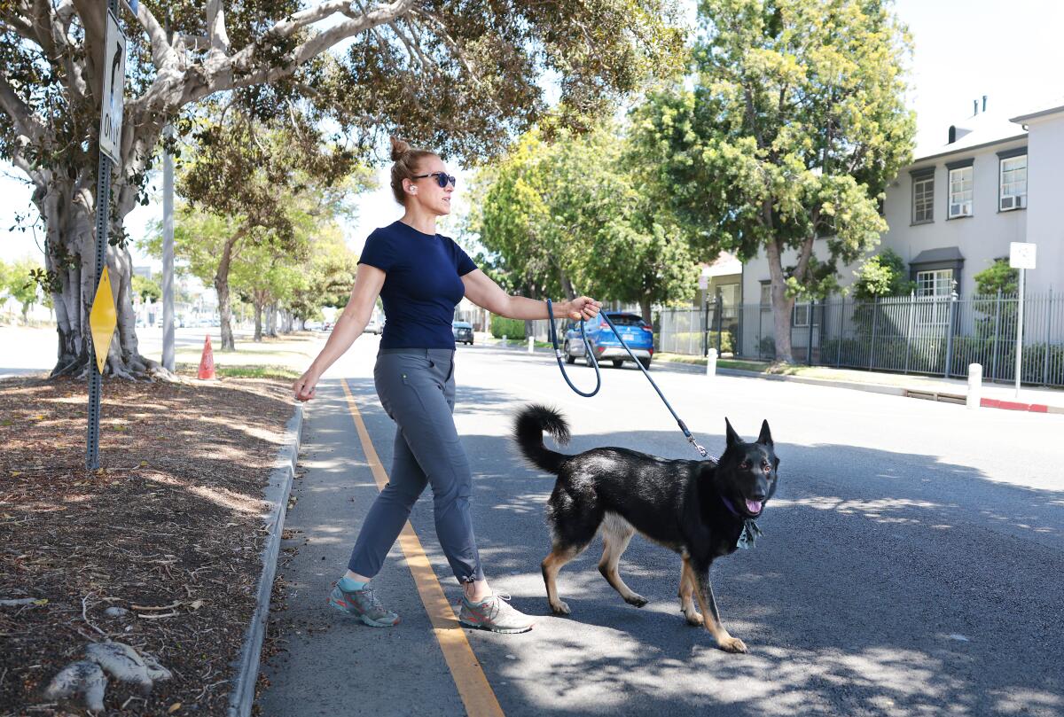Local resident Jo and her dog Elle carefully cross San Vicente Boulevard.