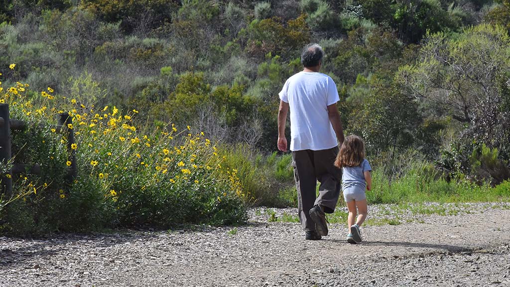 Opinion: We connected our children to wi-fi and disconnected them from nature