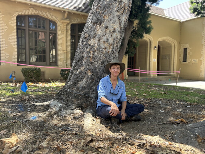 A middle-aged woman with light skin tone wears a blue shirt and dark blue pants and hat. She is seated under a large sycamore tree. 