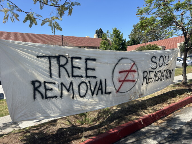 A white banner reads "TREE REMOVAL does not equal SOIL REMEDIATION"