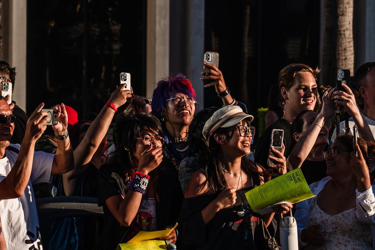 The crowd at the Los Angeles County Museum of Art (LACMA) Art Parade.