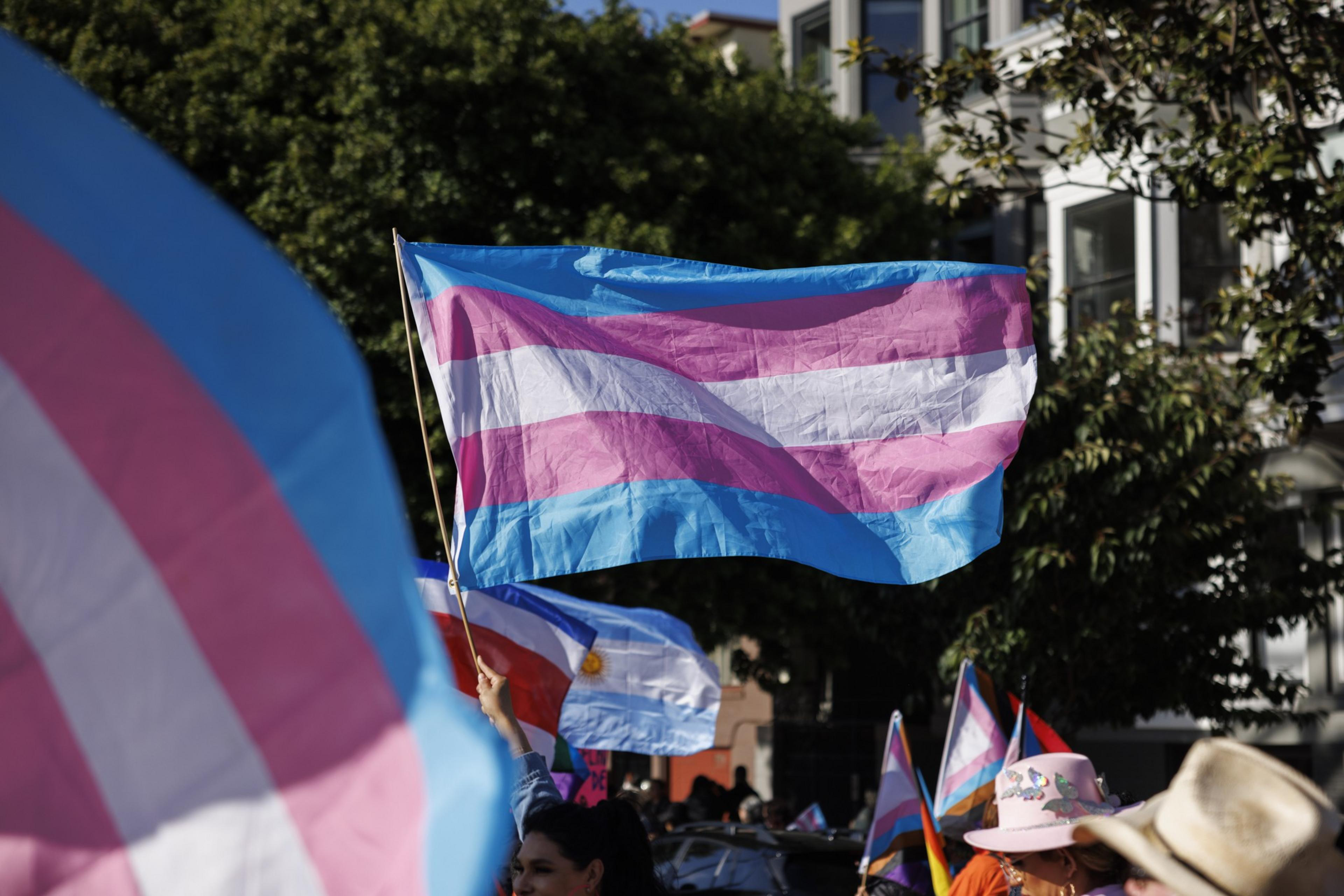 People are holding transgender pride flags at an outdoor gathering, with trees and buildings in the background.