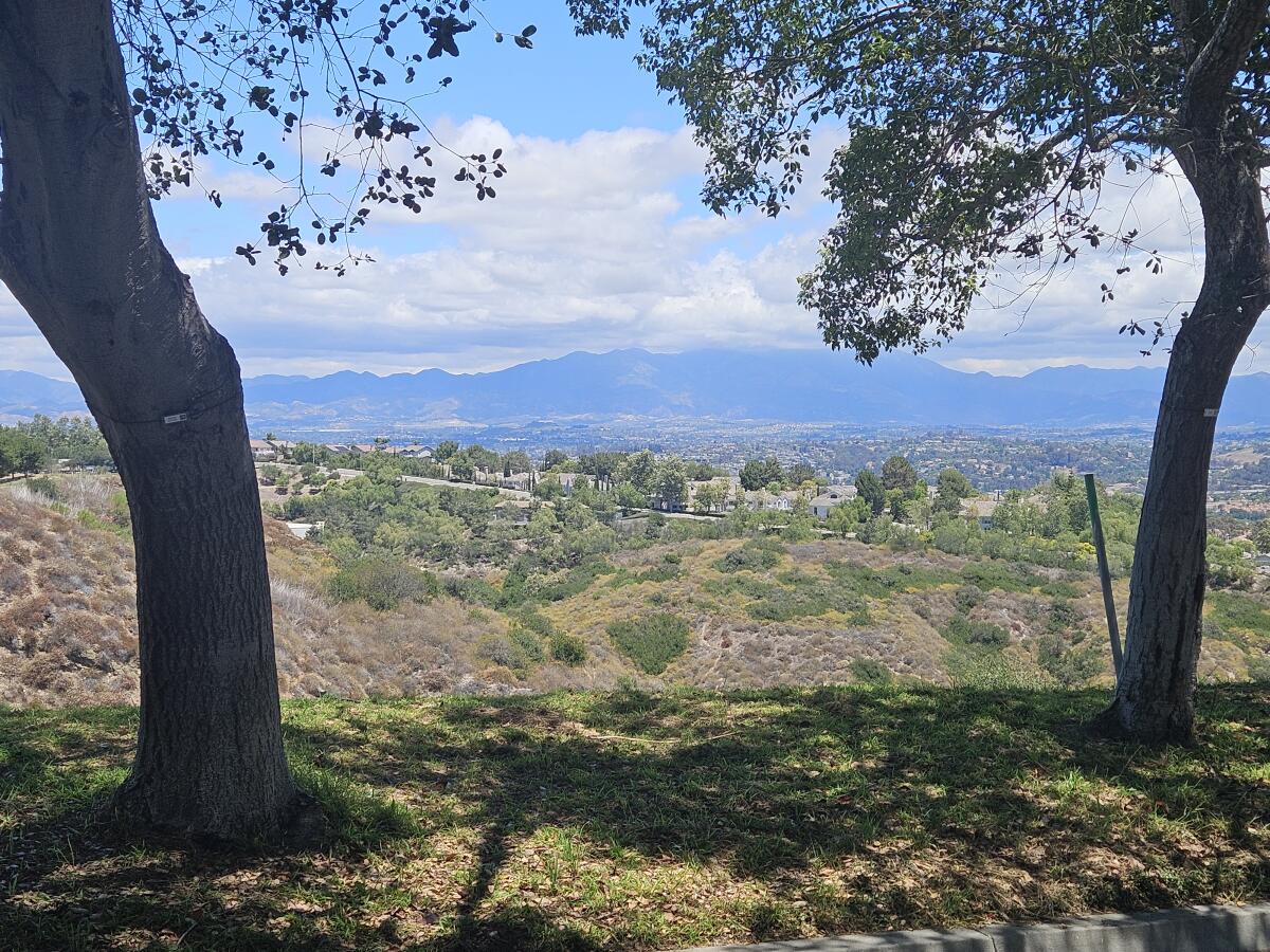 Santiago Peak in the distance, framed by two trees