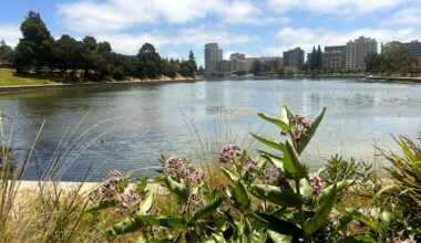 Thousands expected at Oakland’s Lake Merritt for LakeFest – NBC Bay Area