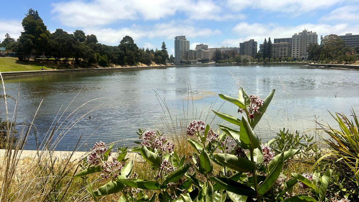 Thousands expected at Oakland’s Lake Merritt for LakeFest – NBC Bay Area