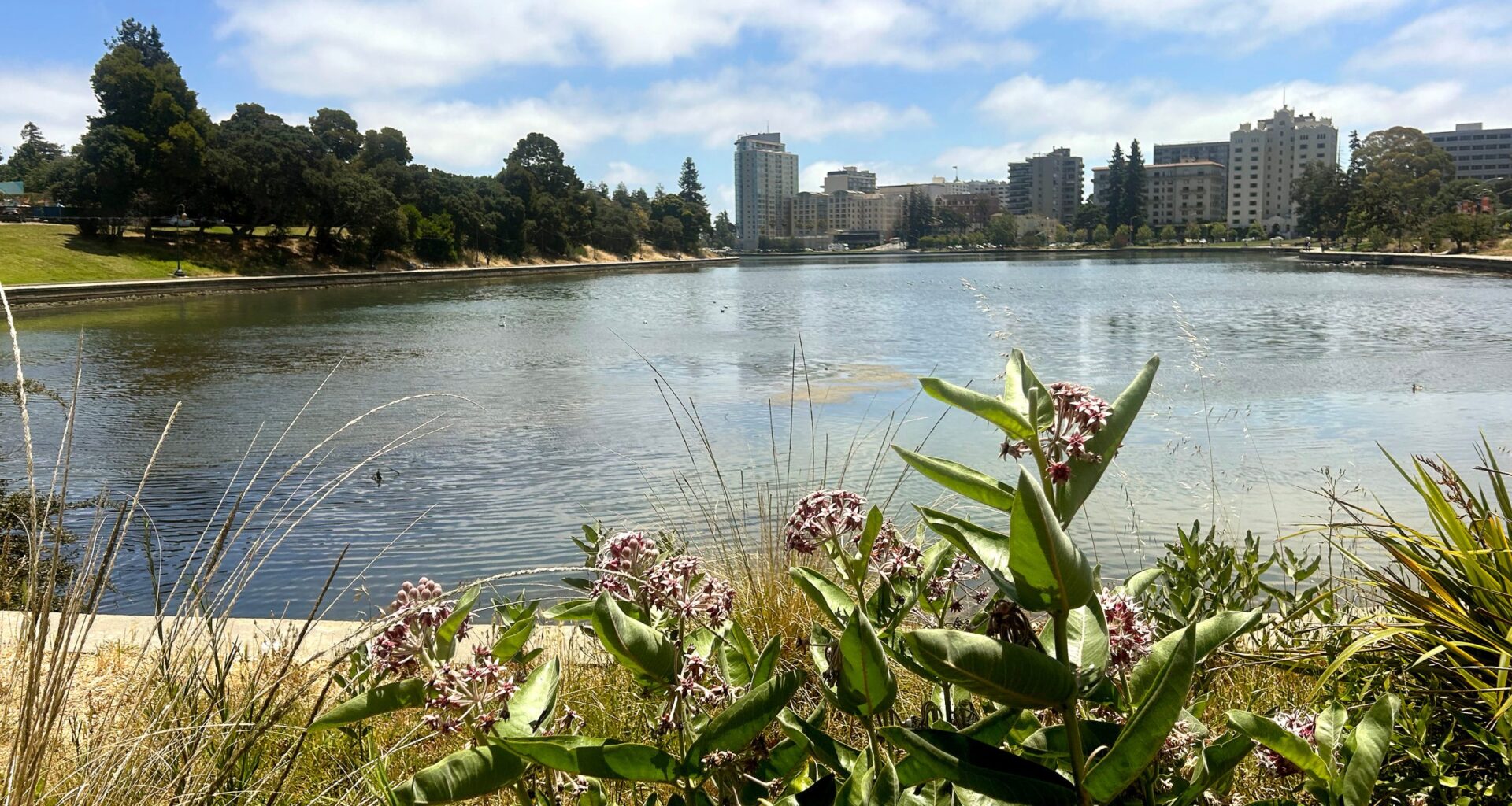 Thousands expected at Lake Merritt Saturday for 7th Annual LakeFest Oakland
