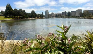 Thousands expected at Lake Merritt Saturday for 7th Annual LakeFest Oakland