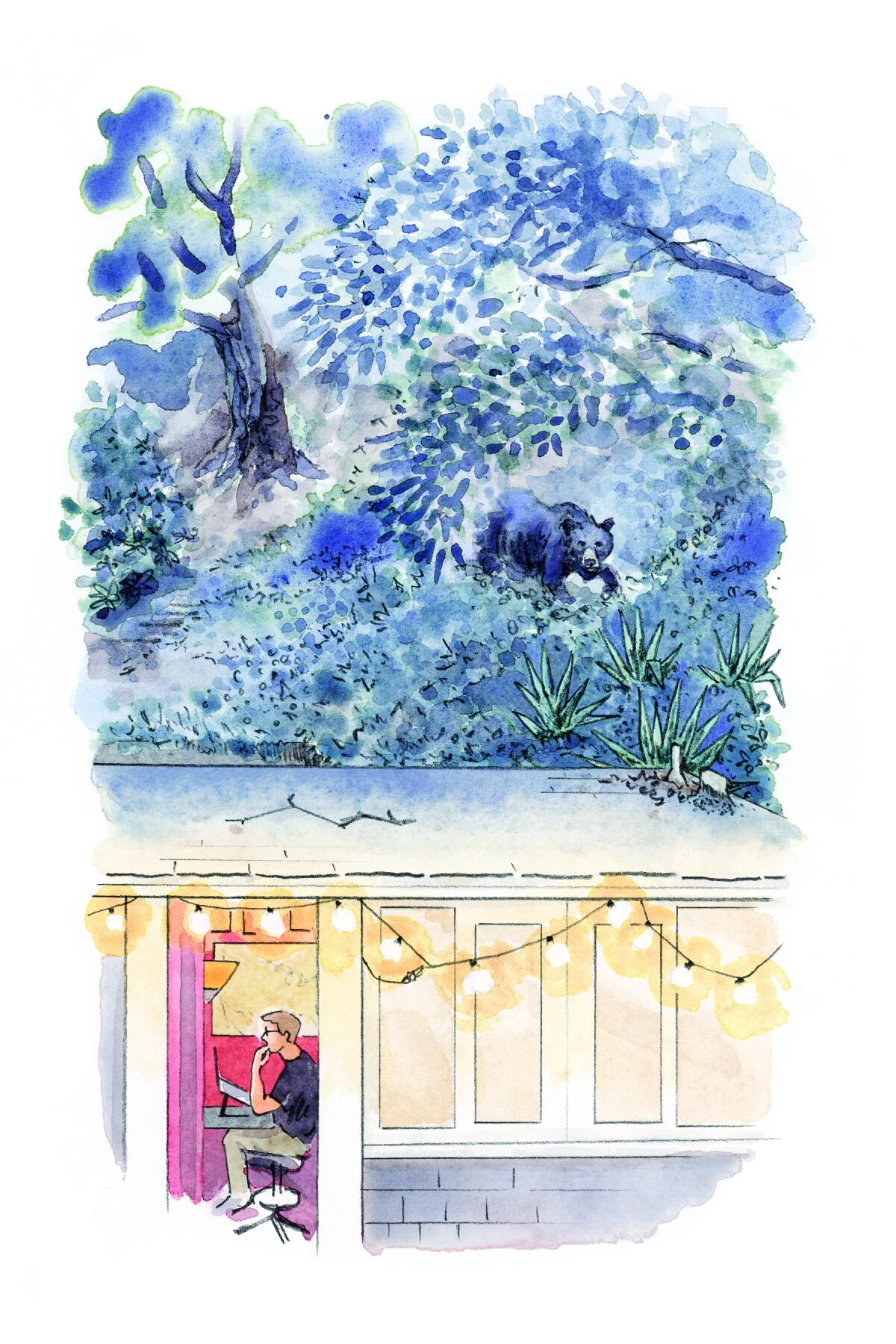 An illustration for "Hidden Nations" depicts author Huling at home, surrounded by the natural environment.