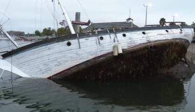 OPD issues citations to rogue boats in estuary