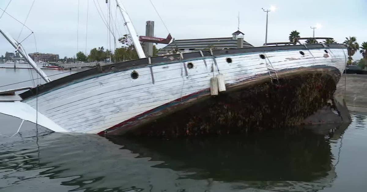 OPD issues citations to rogue boats in estuary