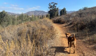Chula Vista’s Proctor Valley Road is apparently haunted. You have to drive it to reach this week’s hike. – San Diego Union-Tribune