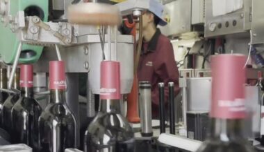 California bill on "American" wine labels stalls after beverage company pushback