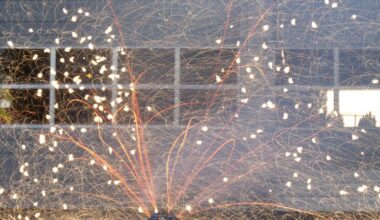 Bee’s summer interns rank the best fireworks for 4th of July