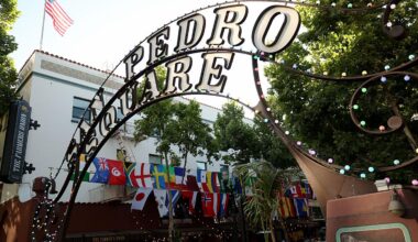 Shooting at World Cup Fan Zone in California Kills One