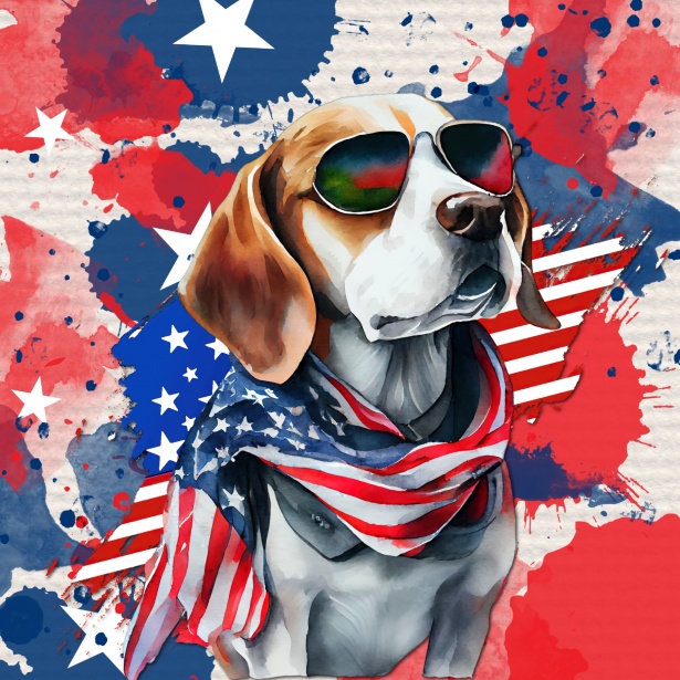 Long Beach Urges Safe Independence Day Celebrations Throughout the Summer -