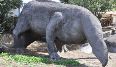 Series: San Diego's vanished roadside relics: Dinosaurs, doll heads, and other highway oddities