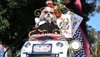 Helen Woodward Animal Center’s 14th Annual PAWmicon returns to Balboa Park – San Diego Union-Tribune