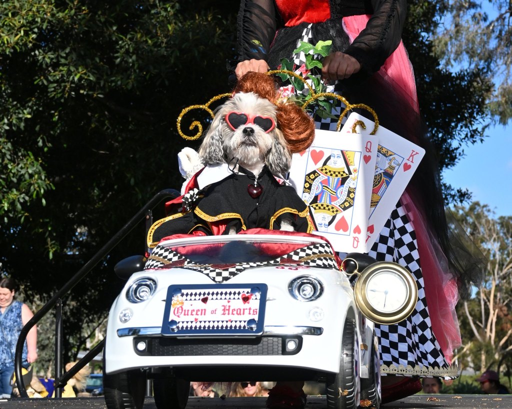 Helen Woodward Animal Center’s 14th Annual PAWmicon returns to Balboa Park – San Diego Union-Tribune